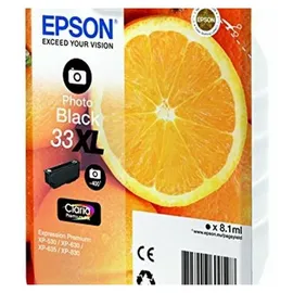 Epson 33XL photo schwarz