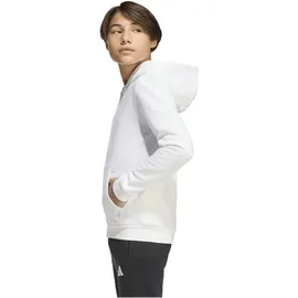 adidas Entrada 26 White/Black 164