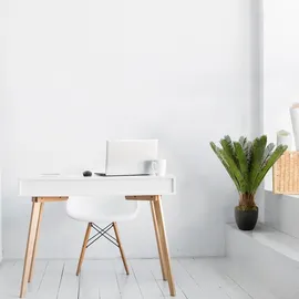 HJH Office Kunstpflanze CYCAS Kunststoff, Stoff