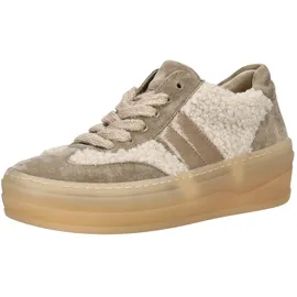 Gabor Sneaker low in beige | Gr.: 39