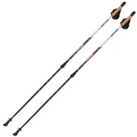 Sport-Thieme Nordic Walking Stöcke Lock Up Pro Nordic Walking