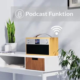 Xoro DAB 250 IR