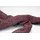 Cube Corvid C120 Rot Kettenschloss