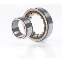 FAG Zylinderrollenlager NU2309 -E-M1 ID 45mm AD 100mm Breite36mm