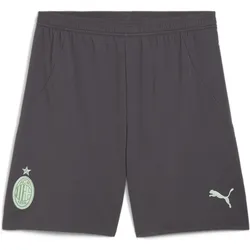 AC Milan 24/25 Shorts Herren PUMA Shadow Gray Fresh Mint Green XS