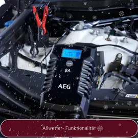 AEG Batterieladegerät 10618