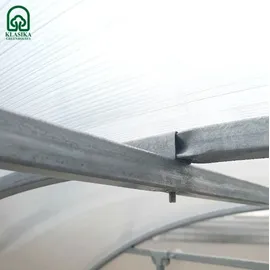meistro kodas Klasika Easy Gewächshaus verzinkt Grün Polycarbonat 6 mm 12 m2
