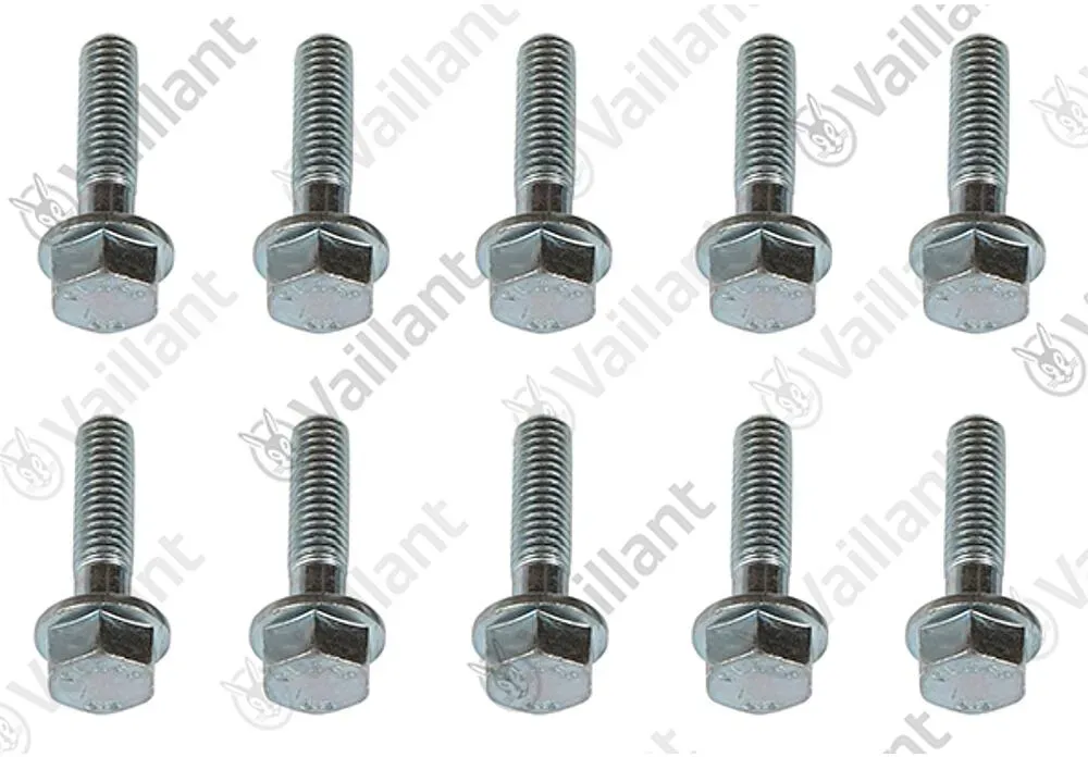 Vaillant Schraube M8x30 10 Stück 0020081349