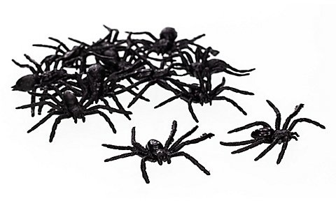 Gruselige Spinnen, 12 Stück