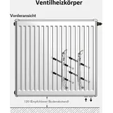 Buderus Heizkörper Typ 11 300 x 400 mm