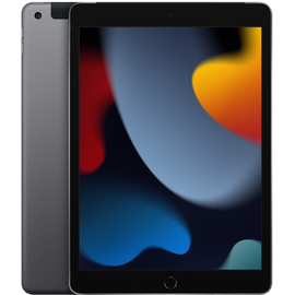 Apple iPad 10,2" (9. Generation 2021) 64 GB Wi-Fi + Cellular space grau