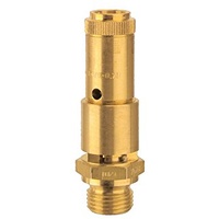 Riegler 104704-227.66-4,0 Sicherheitsventil DN 10, Messing, G 3/4, Ansprechdruck
