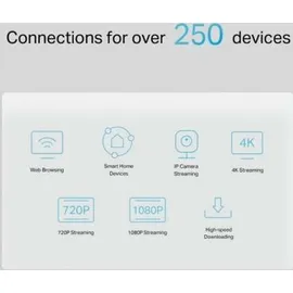 TP-Link NX510v Router