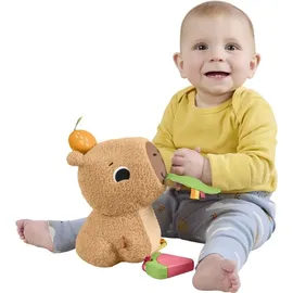 Fisher-Price Kuschel-Capybara 24 cm Bunt