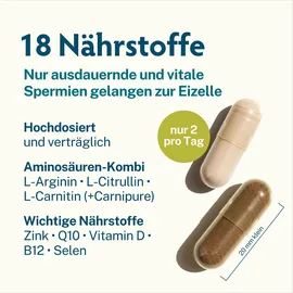 MascuPRO Fertilität Kapseln 180 St.