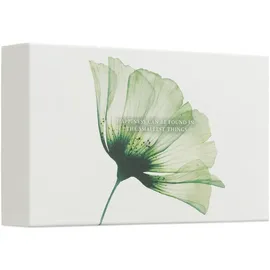 RITUALS The Ritual of Jing Geschenkset S 2023