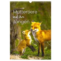 Calvendo Muttertiere und ihre Jungen (Wandkalender 2026 DIN A3