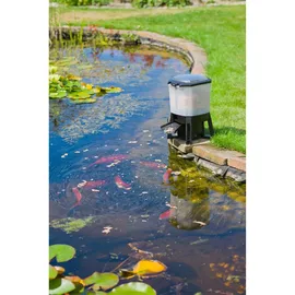 UBBINK Fischfutterautomat solarbetrieben 6 l