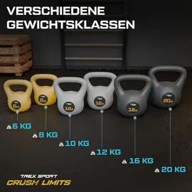 trex sport Kettlebell 10 kg Kugelhantel Schwunghantel grau