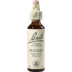 Bach-Blüte Mustard 20 ML