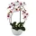 Creativ green Phalaenopsis 3D-print im Keramiktopf, 52 cm, rosa, real touch Pflegeleicht Und Elegant