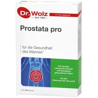 Dr. Wolz Zell GmbH Prostata pro Kapseln 40 St.