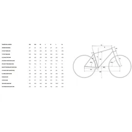 Merida Scultura 6000 Rennrad - M