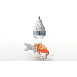 flexBEAM Koi Edition LED-Strahler