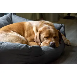 Karlie Hundekissen Charly 80 x 70 cm dunkelgrau