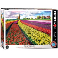 Eurographics Tulip Field Netherlands (6000-5326)