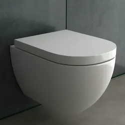 Alpenberger Toilette mit Geberit Spülkasten | Spülrandloses Hänge WC mit Bidet Funktion | Dusch WC mit Absenkautomatik WC Sitz | Vorwandelement WC Bad