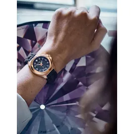 Victorinox I.N.O.X. V