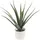 Paperflow meet powered by PAPERFLOW ALOE VERA Kunstpflanze 45,0 cm