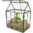 ElegantLife Geometrisches Terrarium aus Glas für Sukkulenten und Luftpflanzen (Keine Pflanze im Lieferumfang enthalten)
