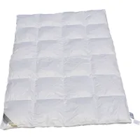Betten Hofmann TRAUM Daunenbett Kassette 4x6 155x220 Daunendecke mit Außensteg 100% neue Daunen