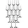 LEONARDO Daily Grappaglas 0,1 l 12 St.