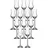 LEONARDO Daily Grappaglas 0,1 l 12 St.