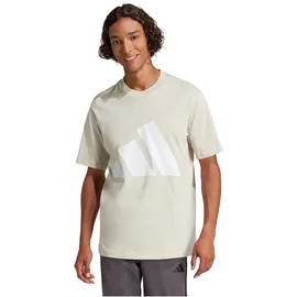 adidas Essentials Big Logo Kurzarm-T-Shirt Wonder Alumina / White S