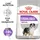 Royal Canin Medium Sterilised Adult 2 x 12 kg