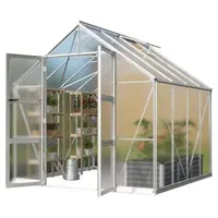 Vitavia Gewächshaus Orbit 6700, HKP, inkl. Fundament, Silber