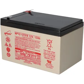 EnerSys Genesis Np12-12wt 12v 12ah Faston 6,3mm Agm Blei Akku
