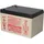 EnerSys Genesis Np12-12wt 12v 12ah Faston 6,3mm Agm Blei Akku