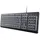 Trust Primo Beleuchtete Tastatur DE