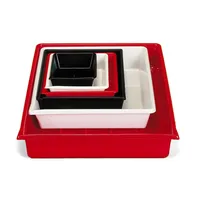 Kaiser Laborschale 20x25 rot