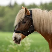 Busse Fliegenmaske Fly Guard Free Warmblut Schwarz