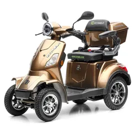 ECONELO P4000 Lithium-Akku Braun