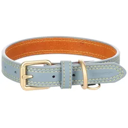 Hundehalsband Virginia Hellblau