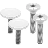 Peak Design Bolt Pack für Capture Clip v3 silber
