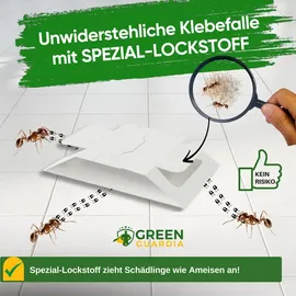 green guardia Ameisen Falle mit Spezial-Lockstoff 3 x 3 St.