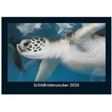 Vero Kalender Schildkrötenzauber 2026 Fotokalender DIN A5
